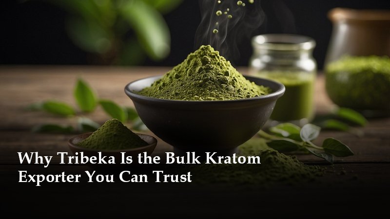 Why Tribeka Is the Bulk Kratom Exporter You Can Trust