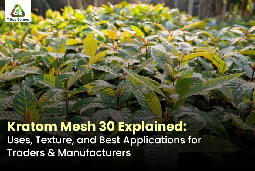  Kratom Mesh 30 Explained: Uses, Texture, and Best Applications for Traders & Manufacturers
