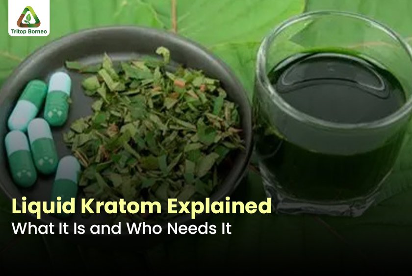 Liquid Kratom Explained: What It Is and Who Needs It