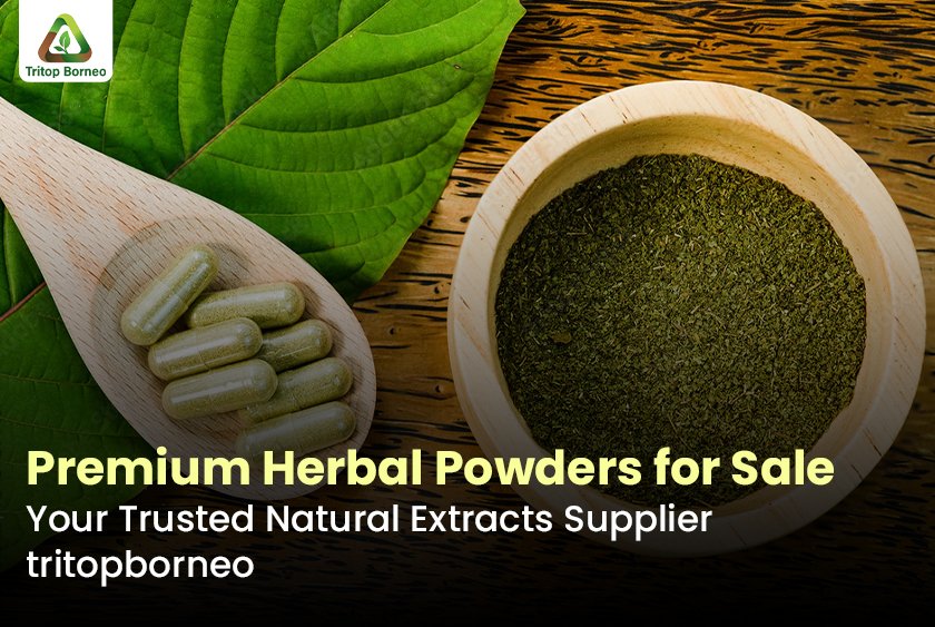 Premium Herbal Powders for Sale – Your Trusted Natural Extracts Supplier