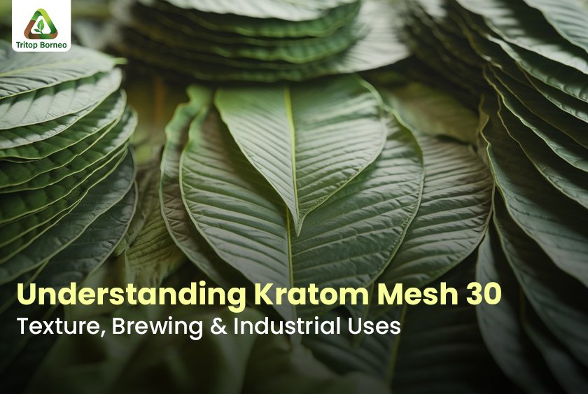 Understanding Kratom Mesh 30: Texture, Brewing & Industrial Uses