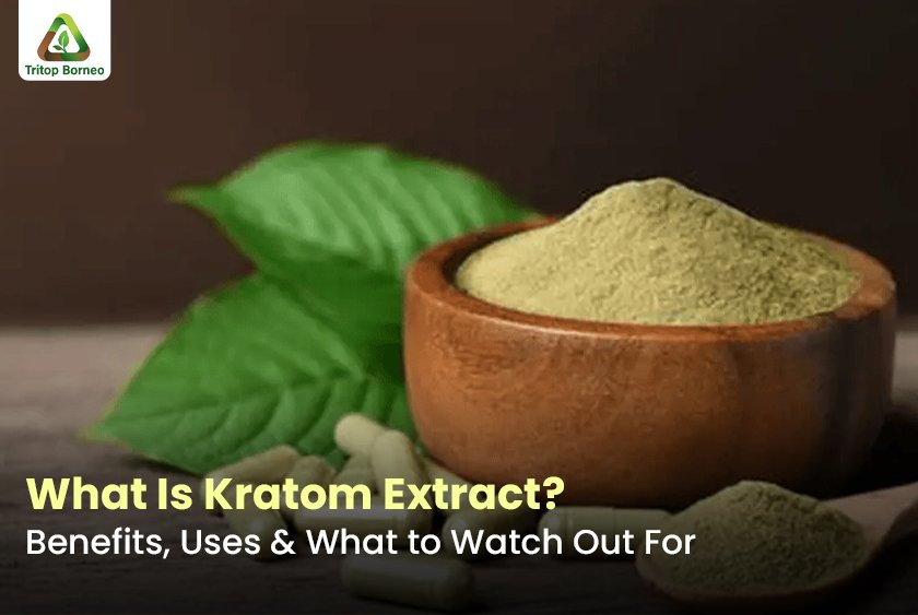 What Is Kratom Extract? Benefits, Uses & What to Watch Out For
