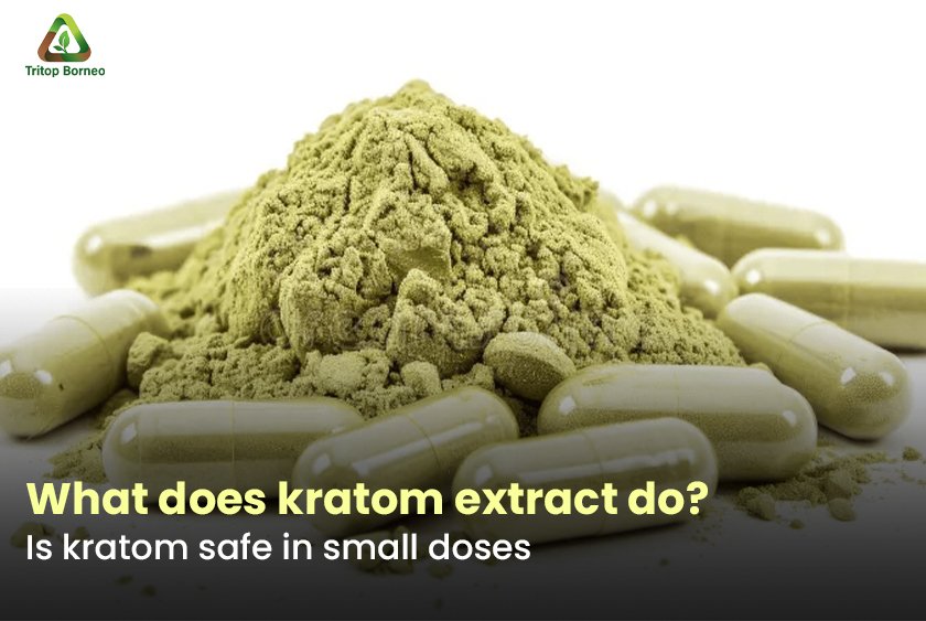 What Does Kratom Extract Do? Myths, Facts & Safety Guide