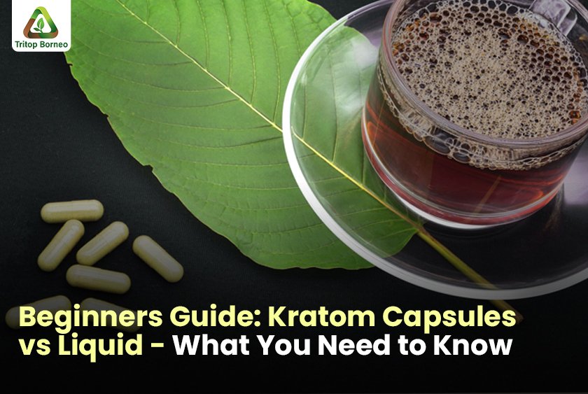 Beginners Guide: Kratom Capsules vs Liquid – What You Need to Know