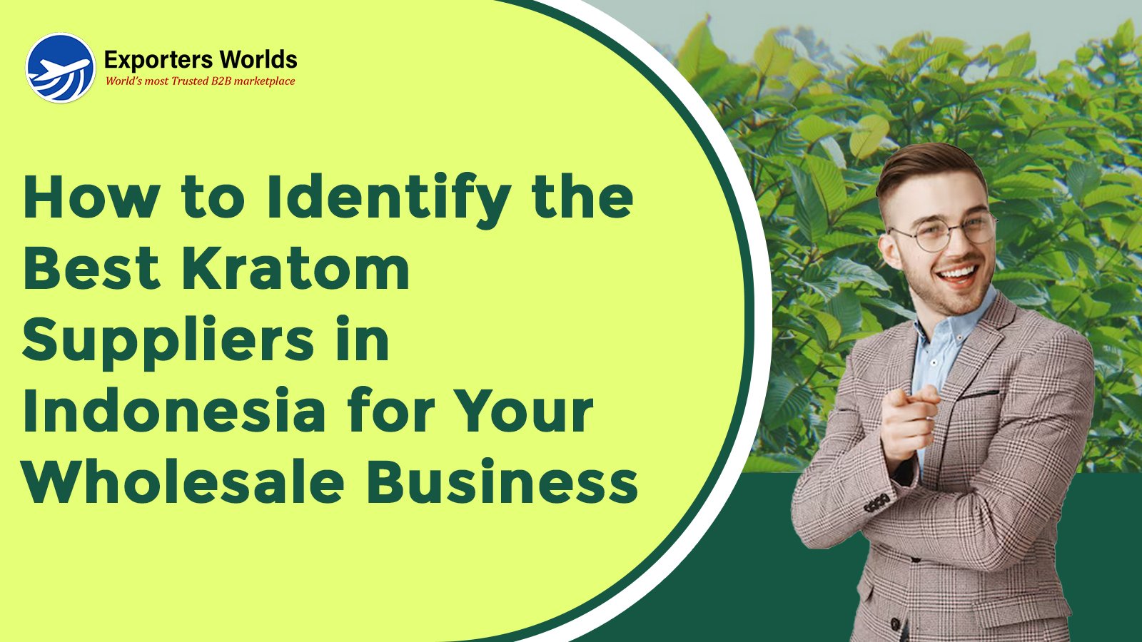 How to Identify the Best Kratom Suppliers in Indonesia for Your Wholesale Business
