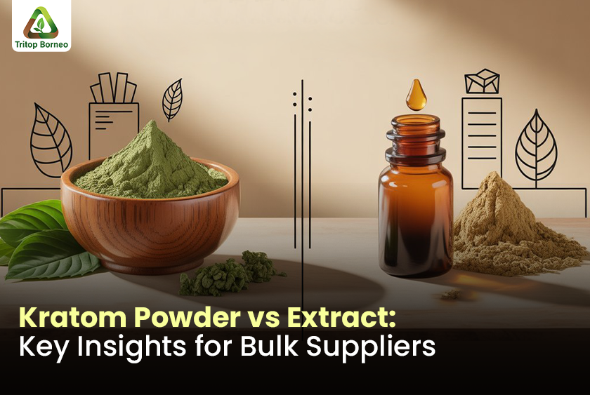 Kratom Powder vs Extract: Key Insights for Bulk Suppliers