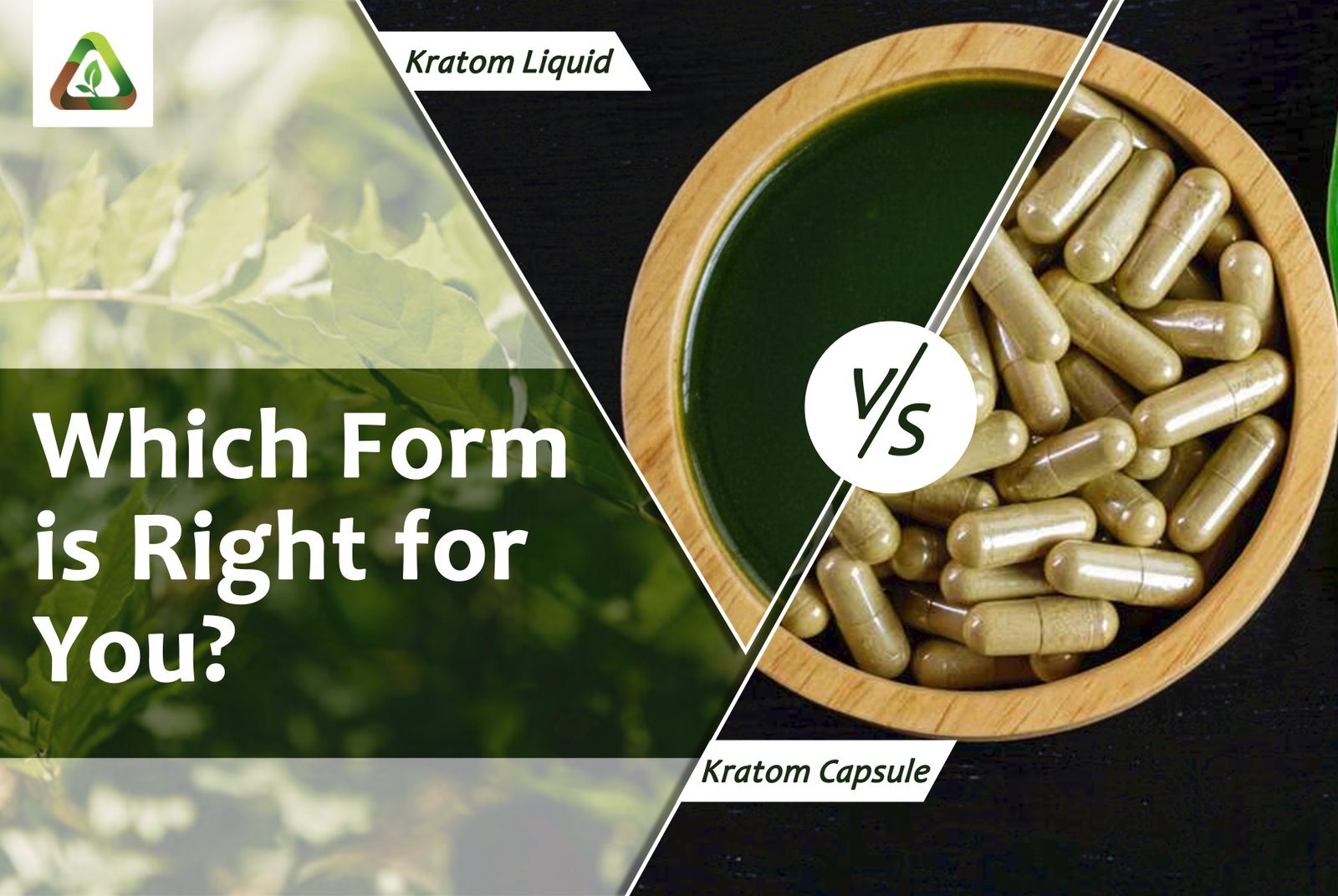 Kratom Capsules vs Liquid — Which Form Is Right for You?
