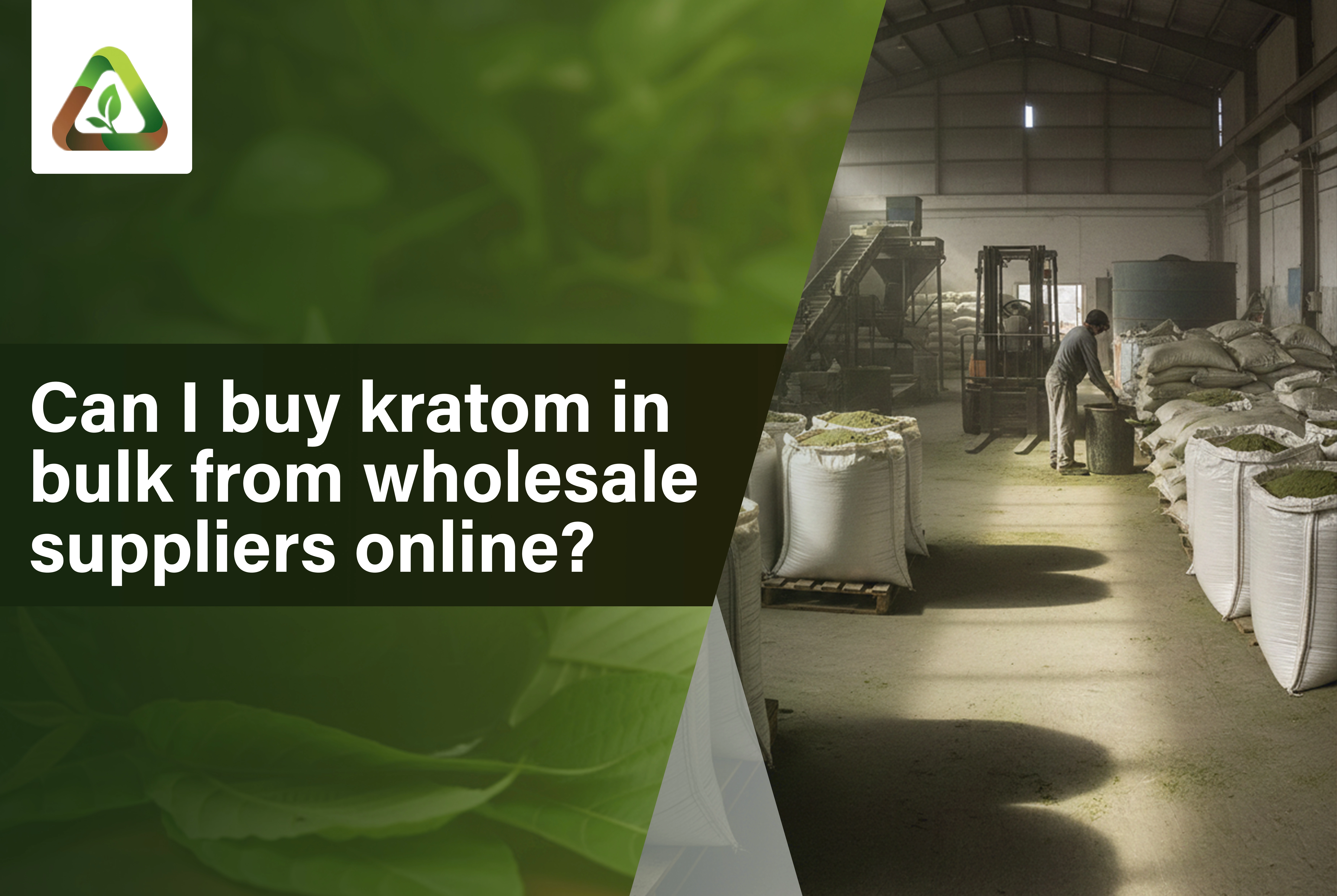  Can I buy kratom in bulk from wholesale suppliers online?