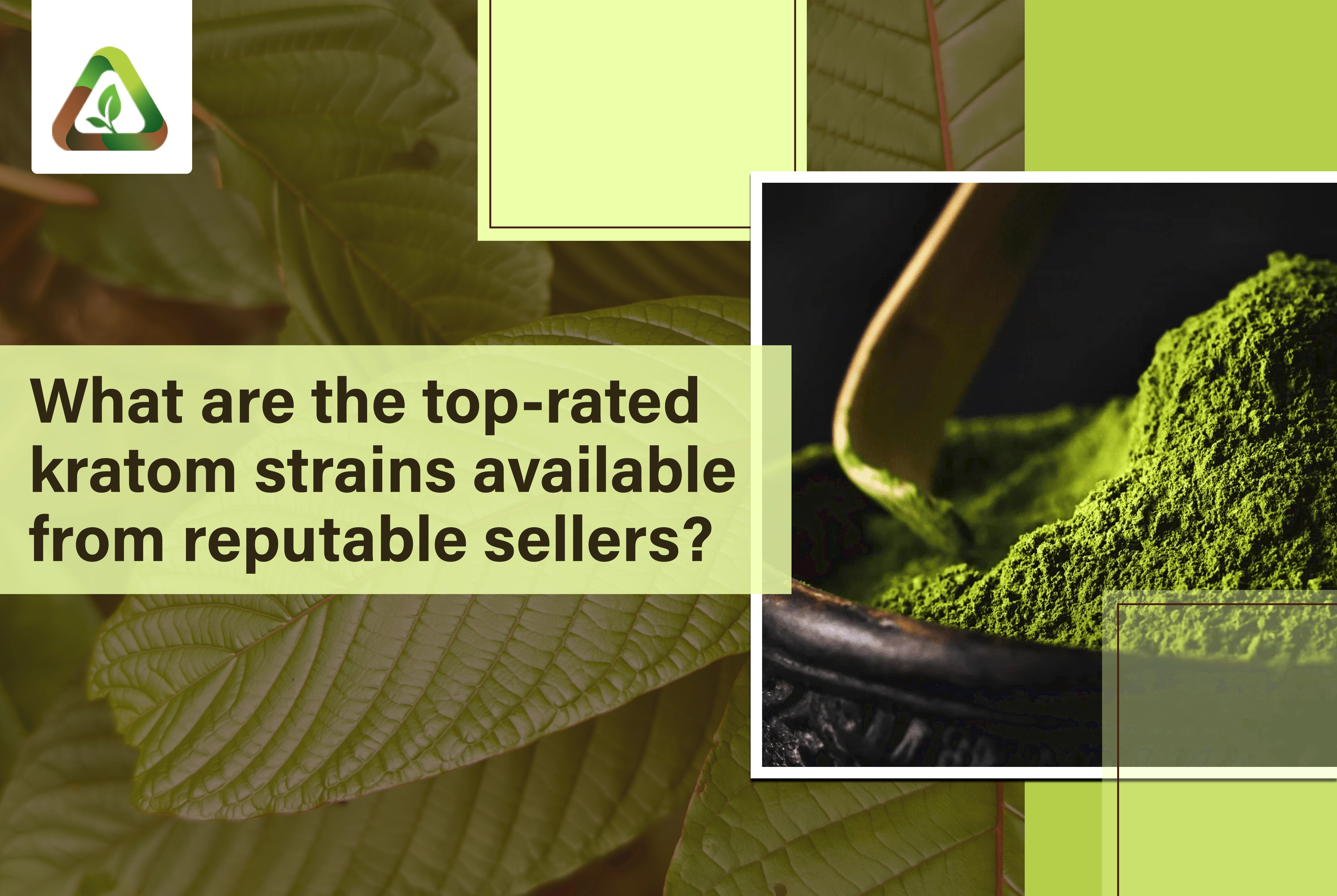 What Are the Top-Rated Kratom Strains Available From Reputable Sellers?