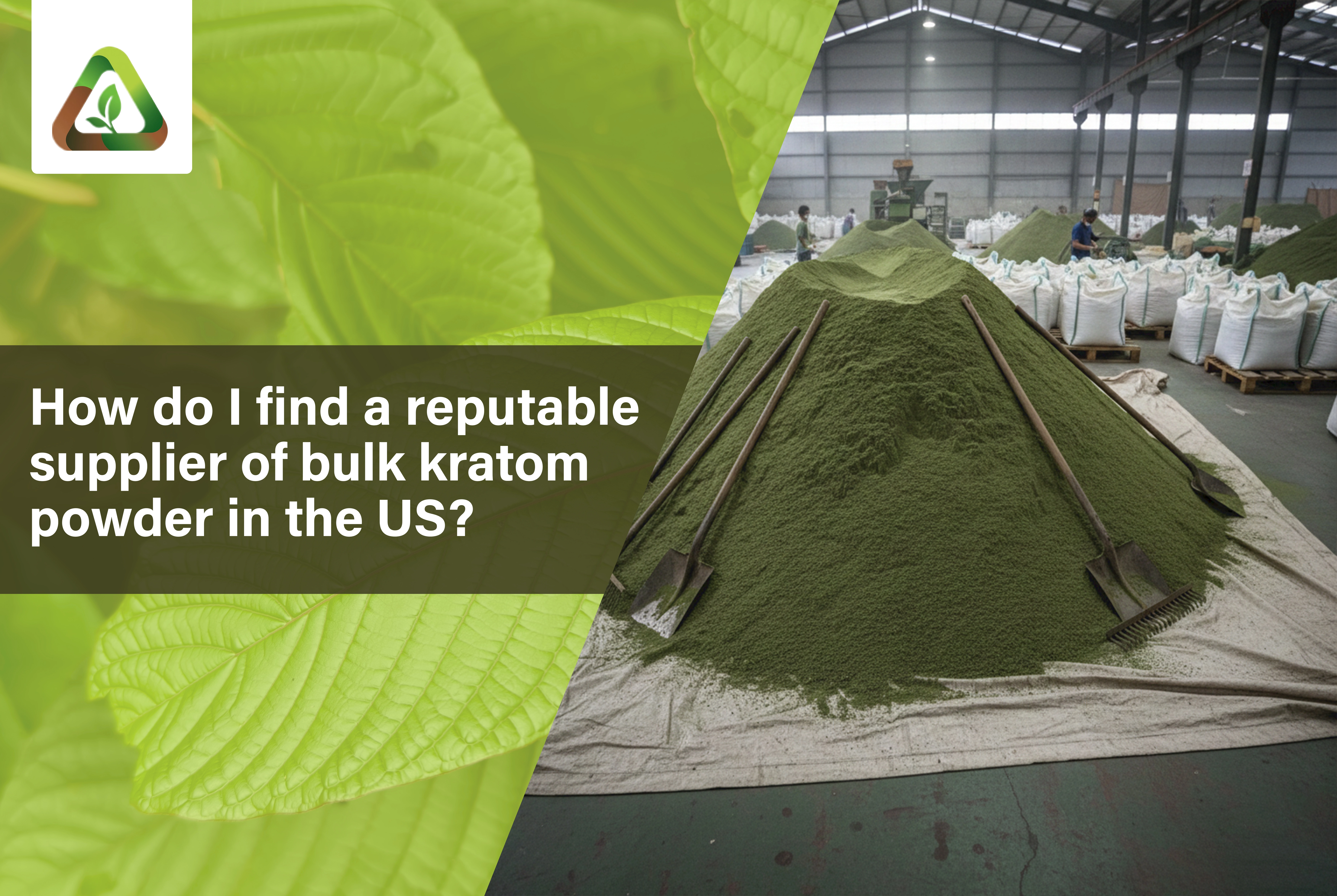 How Do I Find a Reputable Supplier of Bulk Kratom Powder in the US?